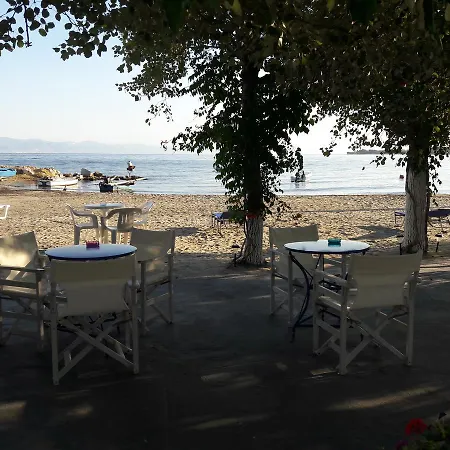 Отель Hotel Prinos